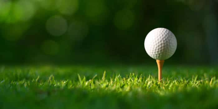 Betsperts Golf ซื้อ Fantasy National ในการขยายองค์กรอย่างยุติธรรม